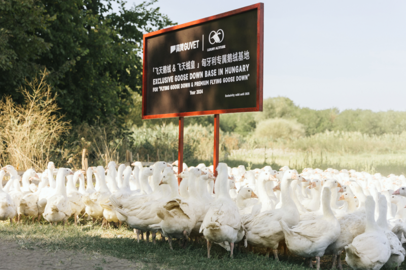 凭借全球视野与本土匠心，高梵高端鹅绒服的国际竞争力凸显